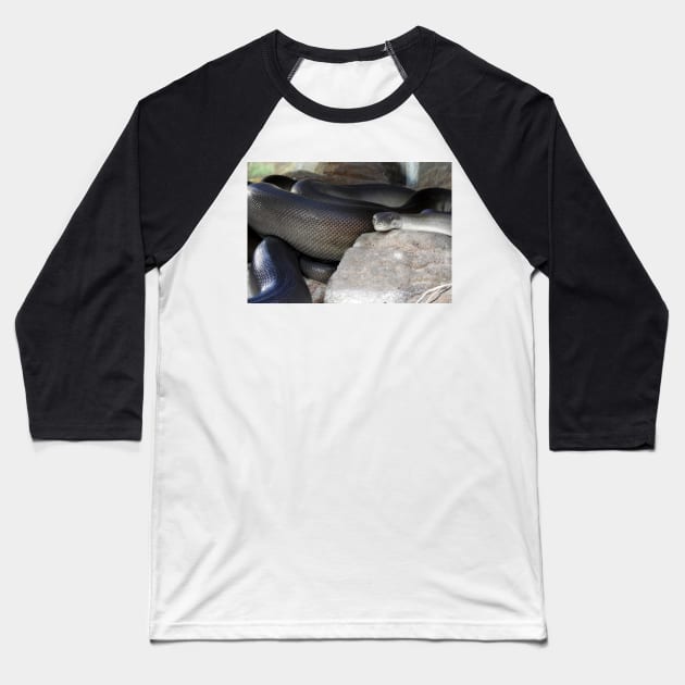 Olive Python Baseball T-Shirt by kirstybush